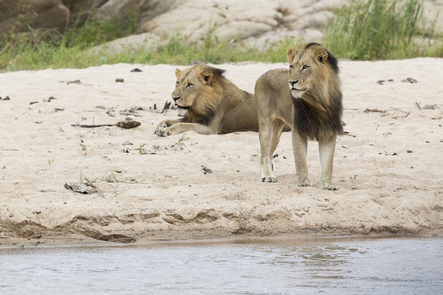 PlaceholderImage1302